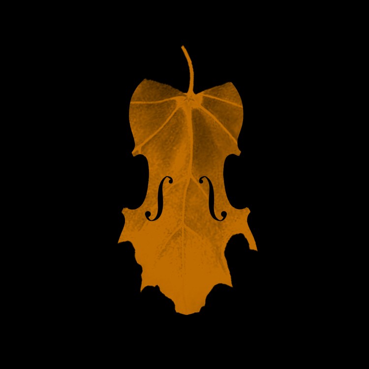 ALBUM CONCEPT - VIOLIN